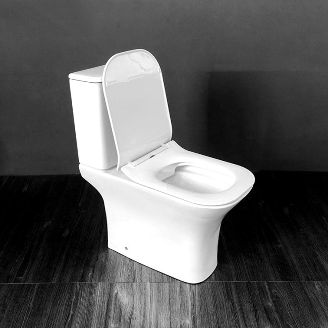 Ceruttispa Vettore CT7192