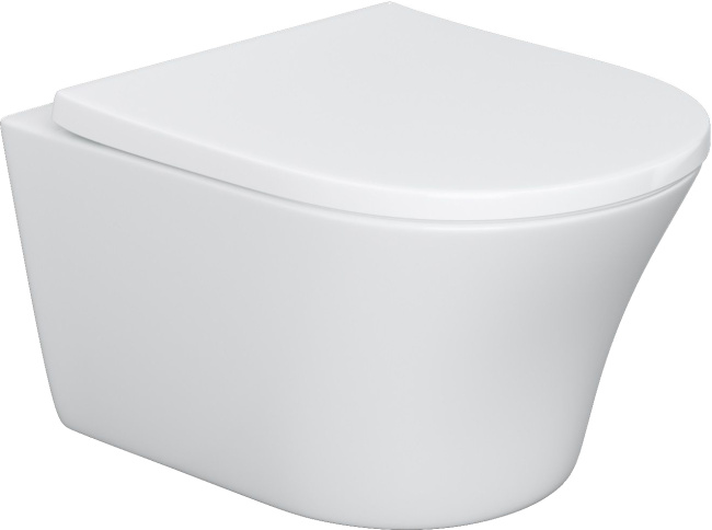 Damixa Skyline DX35C1700SC с микролифтом